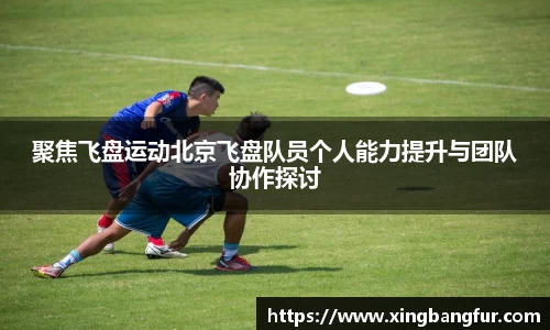 乐盈VI